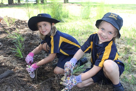 Photo of students planting