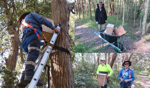 Nestbox installation at Landcare site